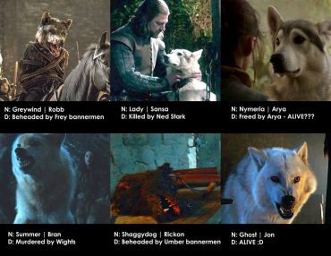 game of thrones direwolves in real life